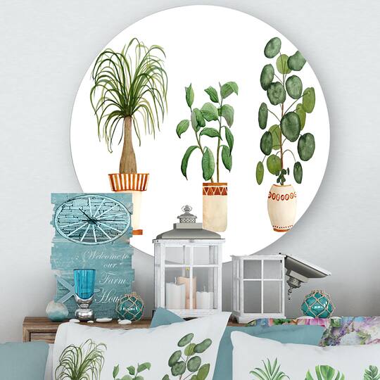 Designart - Trio of House Plants Ponytail Palm and Ficus